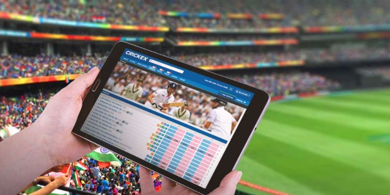 Trang cá cược bóng đá là gì?