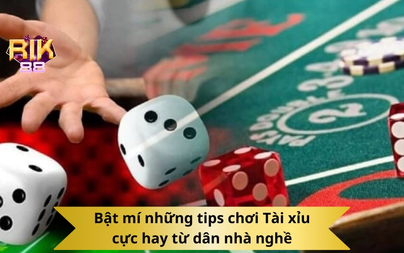 Bật mí những tips chơi Tài xỉu cực hay từ dân nhà nghề