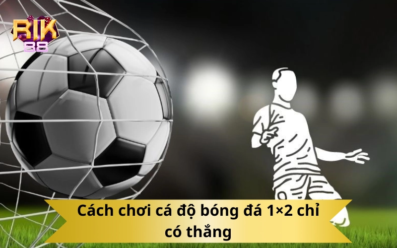 Cách chơi cá độ bóng đá 1×2 chỉ có thắng