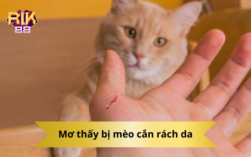 Mơ thấy bị mèo cắn rách da