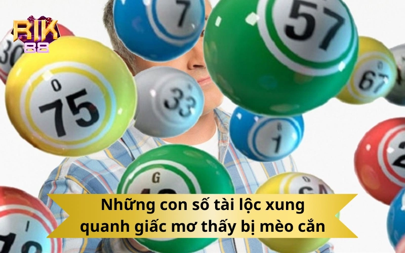 Những con số tài lộc xung quanh giấc mơ thấy bị mèo cắn