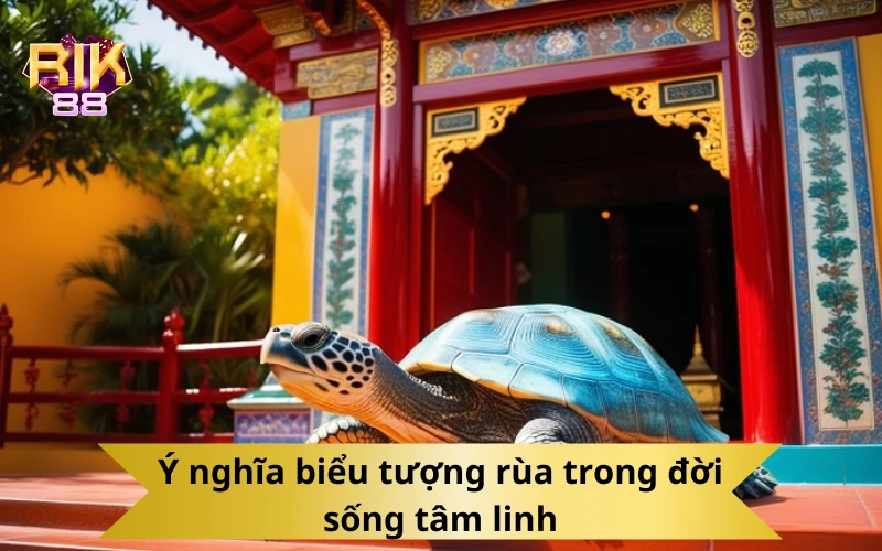 Ý nghĩa biểu tượng rùa trong đời sống tâm linh