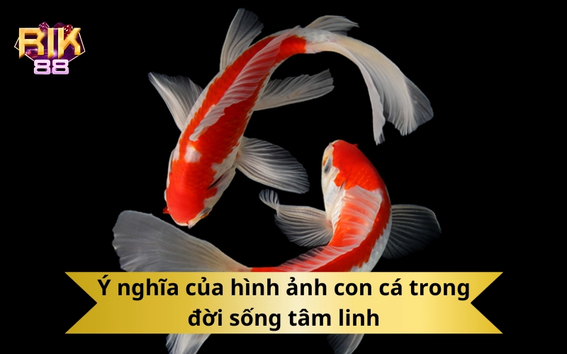 Ý nghĩa của hình ảnh con cá trong đời sống tâm linh