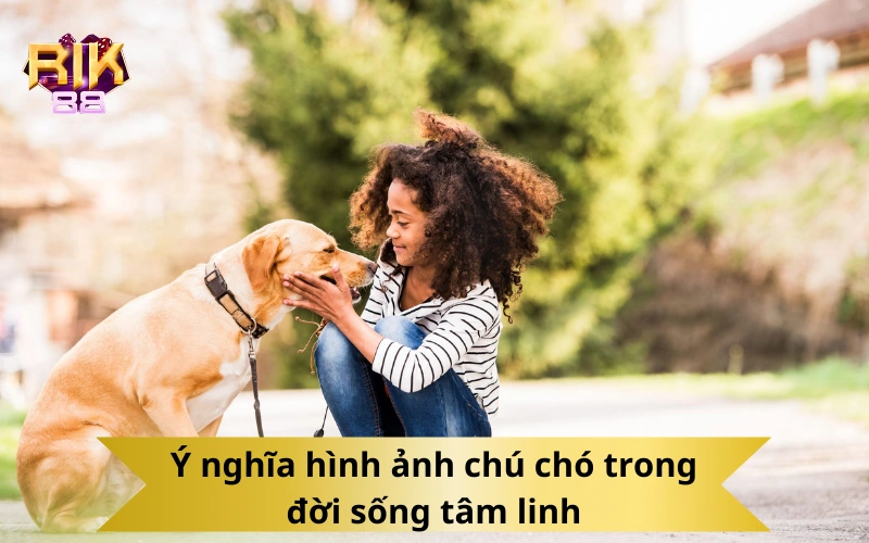 Ý nghĩa hình ảnh chú chó trong đời sống tâm linh