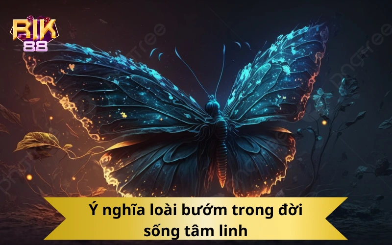 Ý nghĩa loài bướm trong đời sống tâm linh