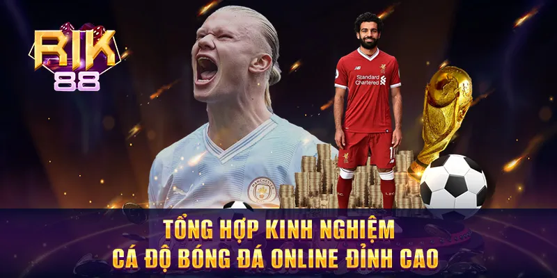 Cá độ bóng đá online
