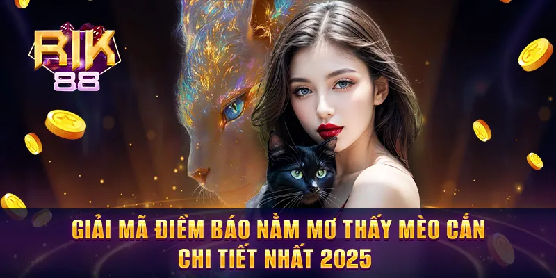 Mơ Thấy Bị Mèo Cắn